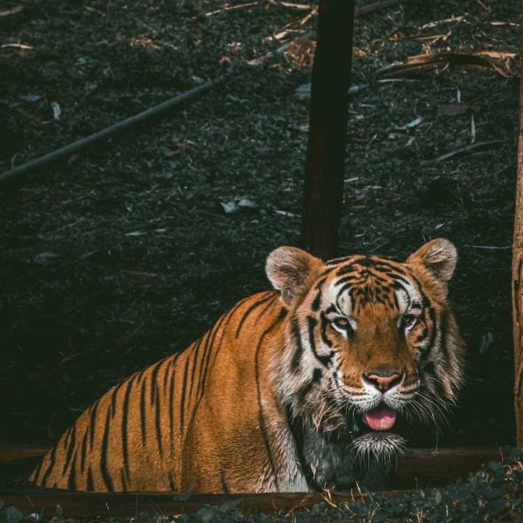 Wedding Portfolio Image 3