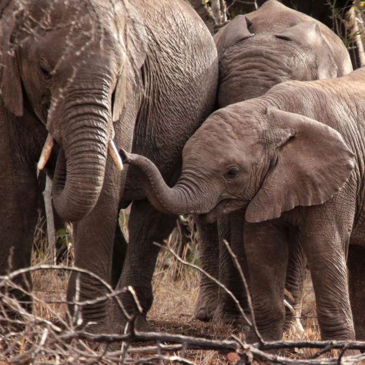 Wedding Portfolio Image 4