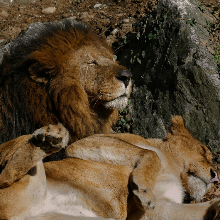 Wedding Portfolio Image 6