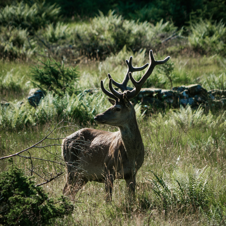 Wedding Portfolio Image 1