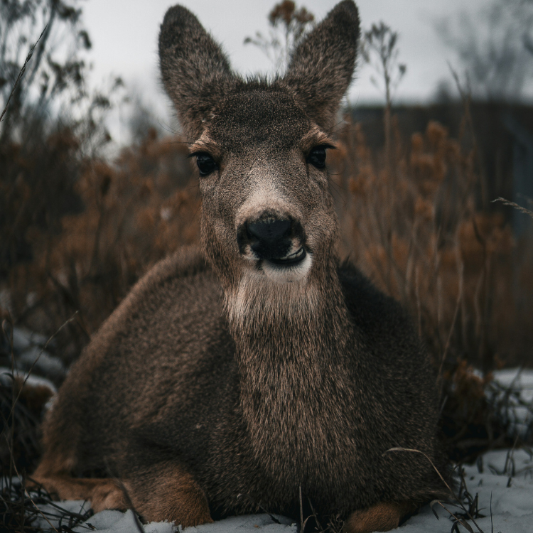 Wedding Portfolio Image 2